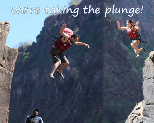 The Plunge